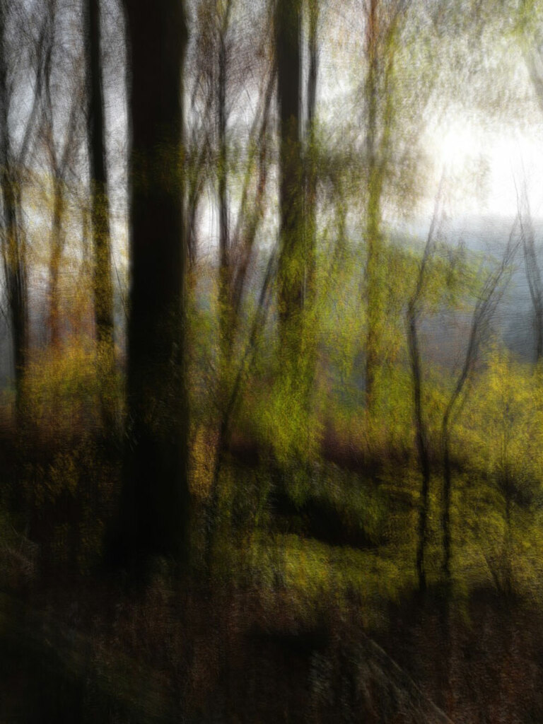 Herbstwald Spessart