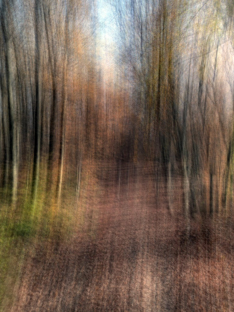 Herbstwald Spessart